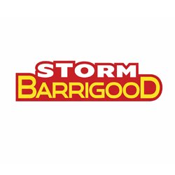 Logo Barrigood